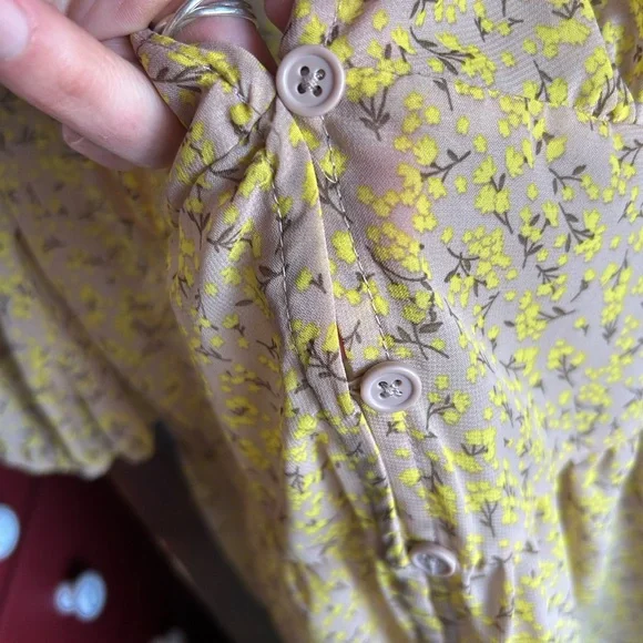 Sheer Cottage Floral Maxi Dress - Picture 2 of 8